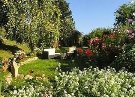 Phlox In Millstatt